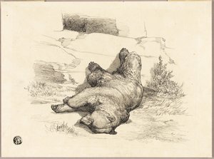 Russian Bear