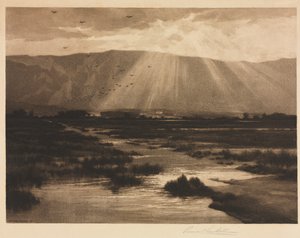 Landscape