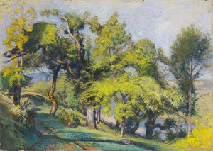 Chestnut Trees above a River