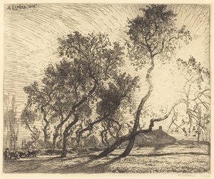 The Farm with Poplars of Holland by Auguste Lepere