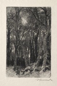 The Lower Breau by Auguste Louis Lepère
