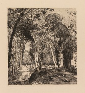 Auguste Lepère: Underwood, at La Rigonette (Vendée)
