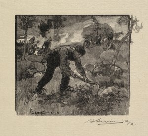 Fontainebleau Forest: Pulling the Heather