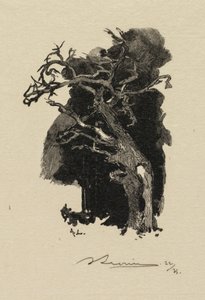 Fontainebleau Forest: The Raging One