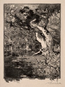 The Clovis, Bellecroix Plateau by Auguste Louis Lepère