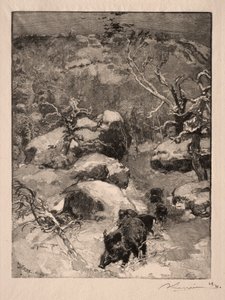 Roche Cuvier Chatillon by Auguste Louis Lepère