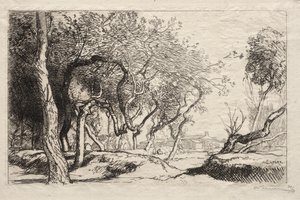 The Twisted Tree by Auguste Louis Lepère