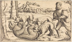 Bear Hunt