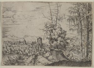 Landscape with Two Pines by Augustin Hirschvogel