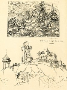 Nature Study by Augustin Hirschvogel