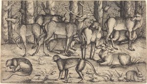 Stags in the Forest by Augustin Hirschvogel