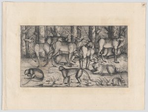 Stags in the Forest, 1545 by Augustin Hirschvogel