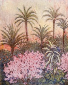 A Palm Grove in Murcia