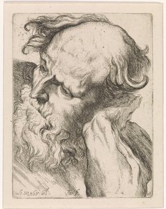 Head of an Old Man (Joseph) by Augustinus Terwesten (I)