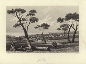 Geelong by Australian School