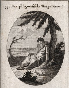 Allegory of Phlegmatic Complexion. The turtle is the attribute of its slowness. Engraving in 