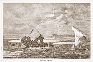 Fight with Walrus, 1876 by Austrian School