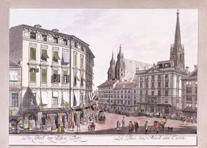 Stock-im-Eisen-Platz by Austrian School