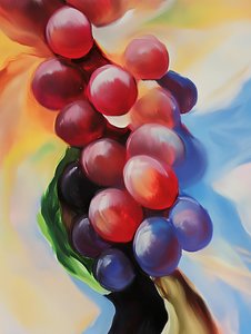 Jewel Tone Grapes