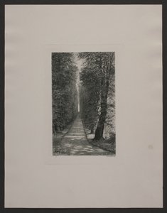 Alley of Sighs