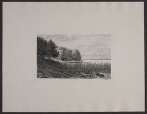 By Esrum Lake