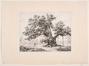 The Stork Oak, Jægerspris