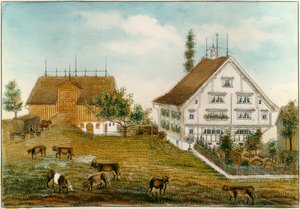 Bülers Anwesen in Oetschwil von Babeli Giezendanner