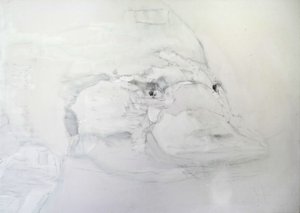 Platypus by Babo B.