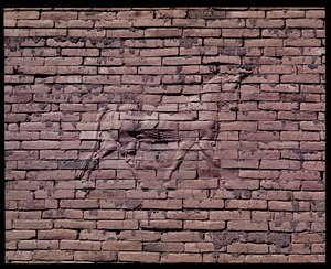 Detail of a bull, relief of the Ishtar gate, 580 BC