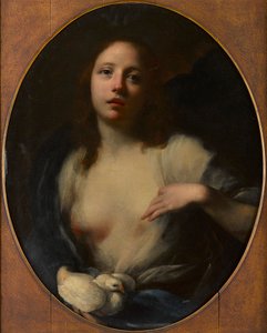 Young Girl with White Dove