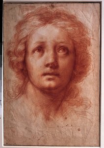 Study of a woman