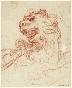 Study of the Head of a Lion by Baldassare Franceschini