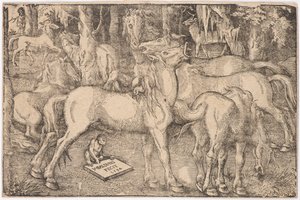 Group of Seven Horses, 1534