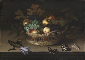 Still Life