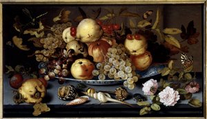 Still Life of Fruits, Flowers, Shells and Insects