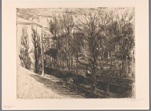 View from My Studio (Panorama)