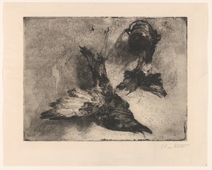 Two Hanging Dead Birds