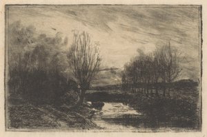 Ditch with Pollard Willows