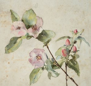 Branches of Pink Flowers by Barbara Leigh Smith Bodichon