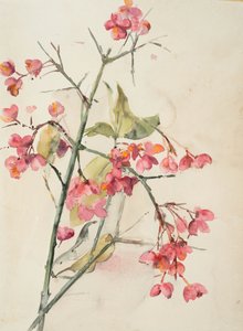 Pink Flowers by Barbara Leigh Smith Bodichon