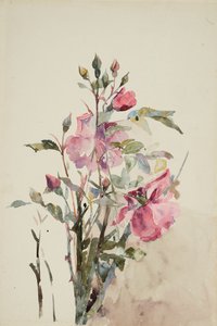 Pink Flower Stems by Barbara Leigh Smith Bodichon
