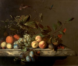 Fruit Piece with Dragonfly