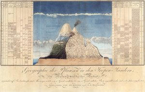 Geography of Plants in Tropical Countries, A Study of the Andes, drawn by Schoenberger and Turpin, printed by Langlois, Paris 