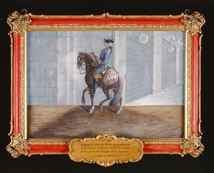 No. 20 A Dapple Grey Horse of the Spanish Riding School Performing the Volte Dressage Step