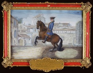 A Barbary bay horse of the Spanish Riding School performing a dressage movement in St. Marks Square, Florence