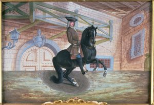 A brown bay horse of the Spanish Riding School performing a pirouette near the ground