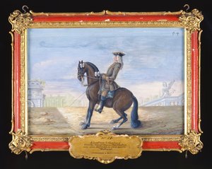 No. 54 A Danish Chestnut Bay Horse of the Spanish Riding School Performing a Dressage Movement by Baron Reis Eisenberg
