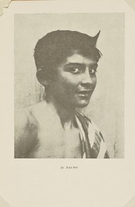The Faun