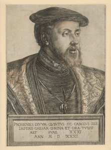 Emperor Charles V by Barthel Beham