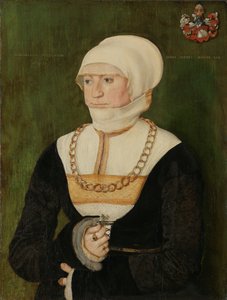 Portrait of Magdalena Pittrichin by Barthel Beham